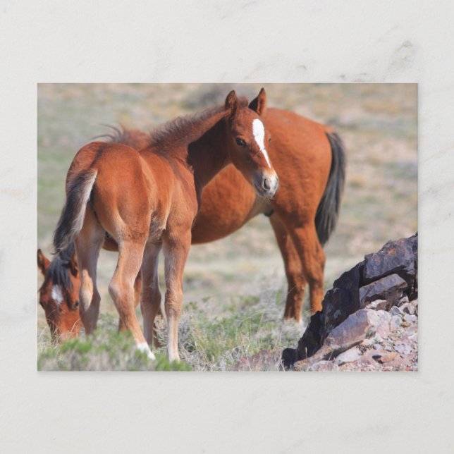 Cartão Postal Novo Começo (Frente)