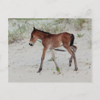 Cartão Postal Novo dia