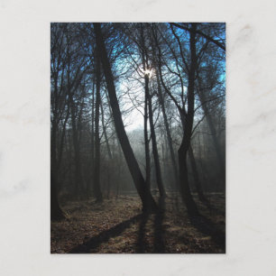 Cartão Postal Novo dia