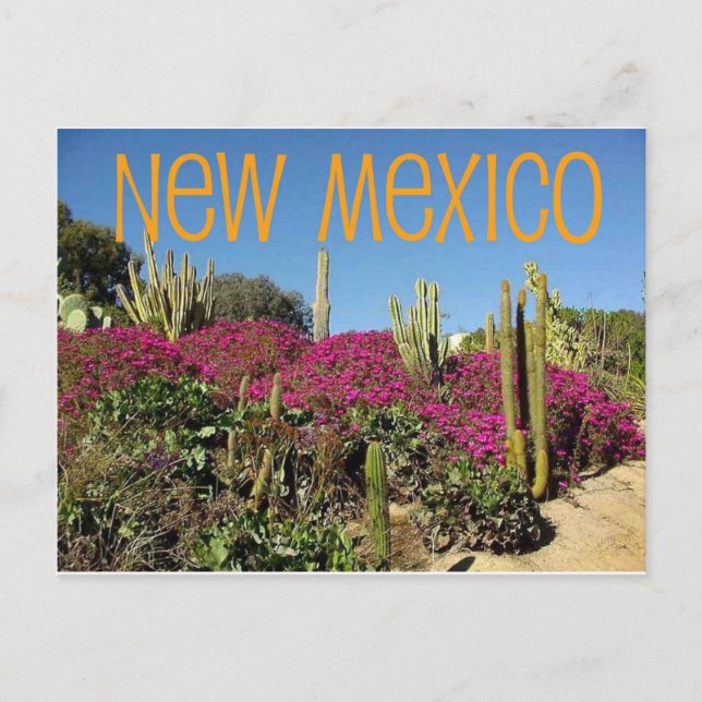 Cartão Postal Novo México (Frente)