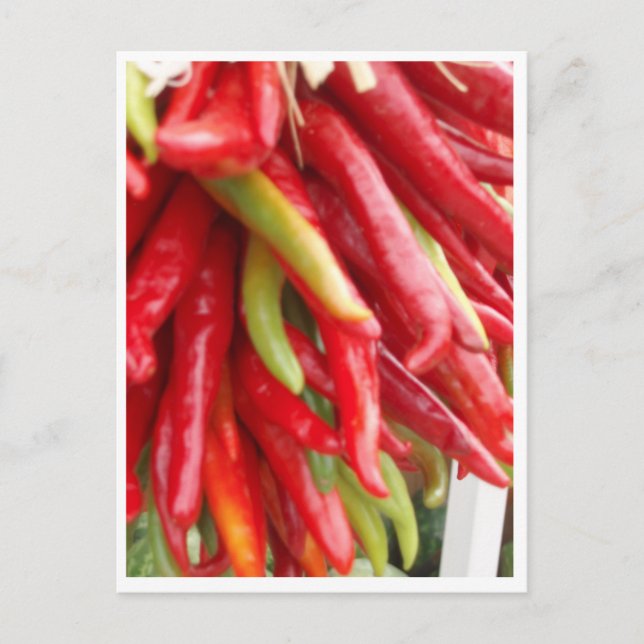 Cartão Postal Novo México Red Chili (Frente)