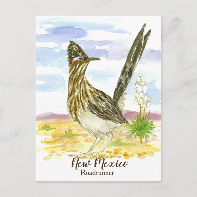 Cartão Postal Novo México - Roadrunner de Ave do Estado Yucca (Frente)