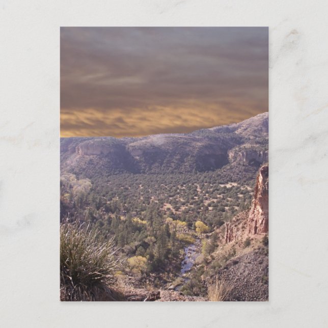 Cartão Postal Novo México Selvagem (Frente)