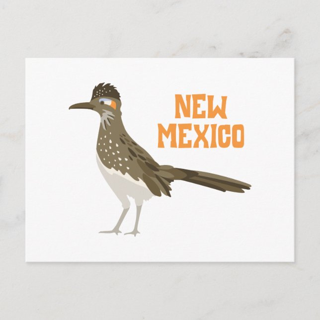 Cartão Postal Novo Roadrunner do México (Frente)