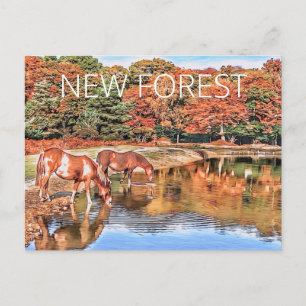 Cartão Postal Novos Pôneis Florestais