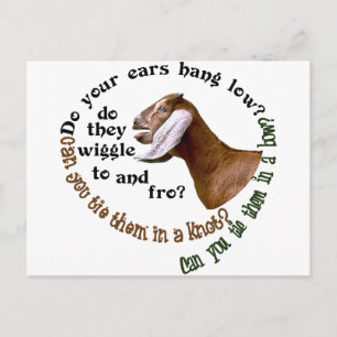CARTÃO POSTAL NUBIAN GOAT - DO YOUR EARS HANG LOW?