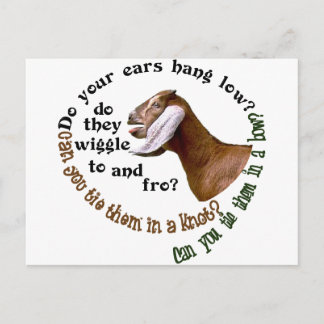 CARTÃO POSTAL NUBIAN GOAT - DO YOUR EARS HANG LOW?