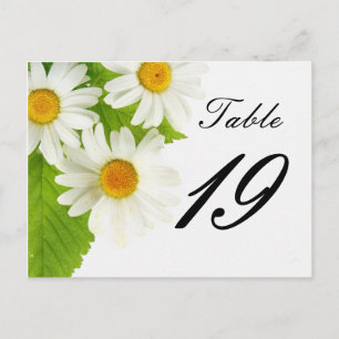 Cartão Postal número da mesa de margarida branca