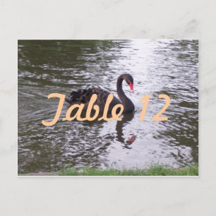 Cartão Postal Número da Tabela Swan Preta
