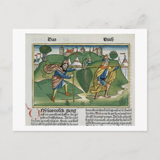 Cartão Postal Números 13 23 Uvas de Eschol, do "Nure (Frente)