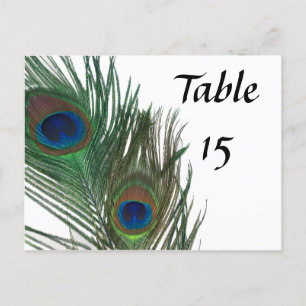 Cartão Postal Números De Mesa De Casamento Pavão Branco E Adoráv