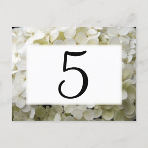 Cartão Postal Números de Tabela de Flores de Hipodargia Branca
