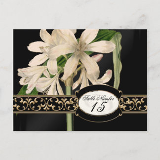Cartão Postal Números de Tabela Formal de Casamentos do Barroco
