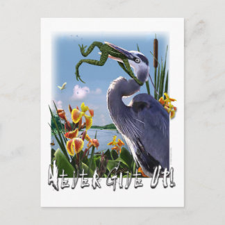 Cartão Postal Nunca Desista!