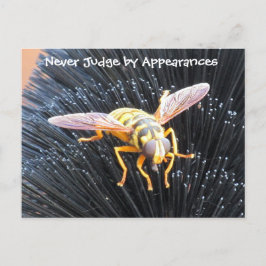 Cartão Postal Nunca julgue por aparências ser postal