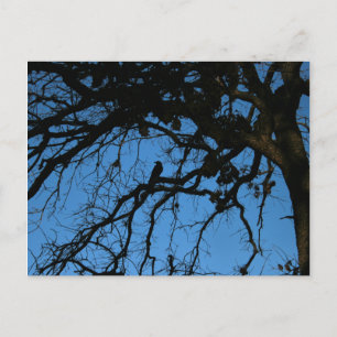 Cartão Postal Nunca mais