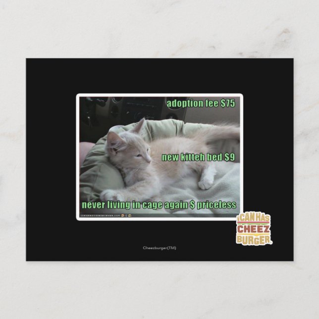 Cartão Postal Nunca mais vivendo em uma gaiola (Frente)