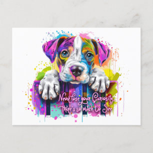 Cartão Postal Nunca Perca Sua Curiosidade, Há Tanto para Ver