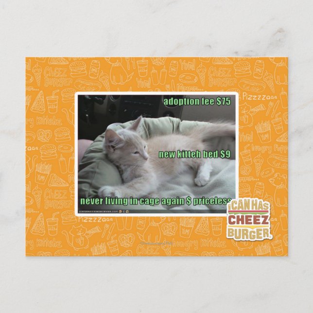 Cartão Postal Nunca vivendo em uma gaiola outra vez (Frente)