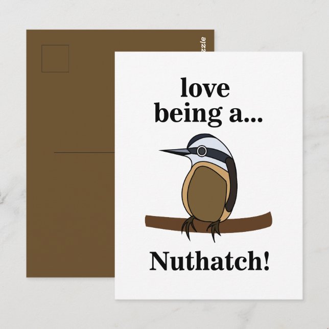 Cartão Postal Nuthatch Bird Backyard Birder Birdwatcher (Frente/Verso)