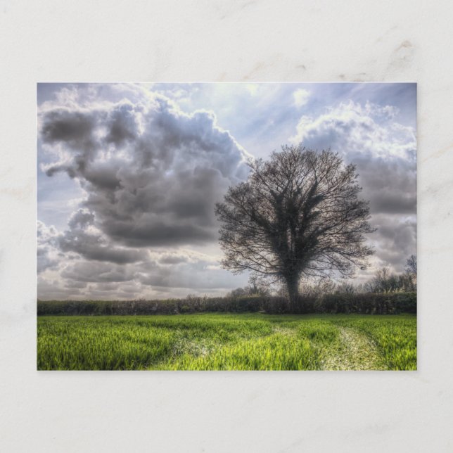 Cartão Postal Nuvens de chuva em HDR Primavera (Frente)