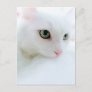 Cartão Postal Nuvens Suaves