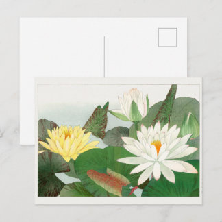 Cartão Postal Nymphaea lotus, xilogravura japonesa, 1917