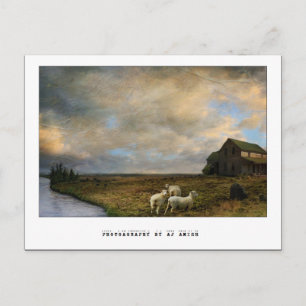 Cartão Postal O Abate -