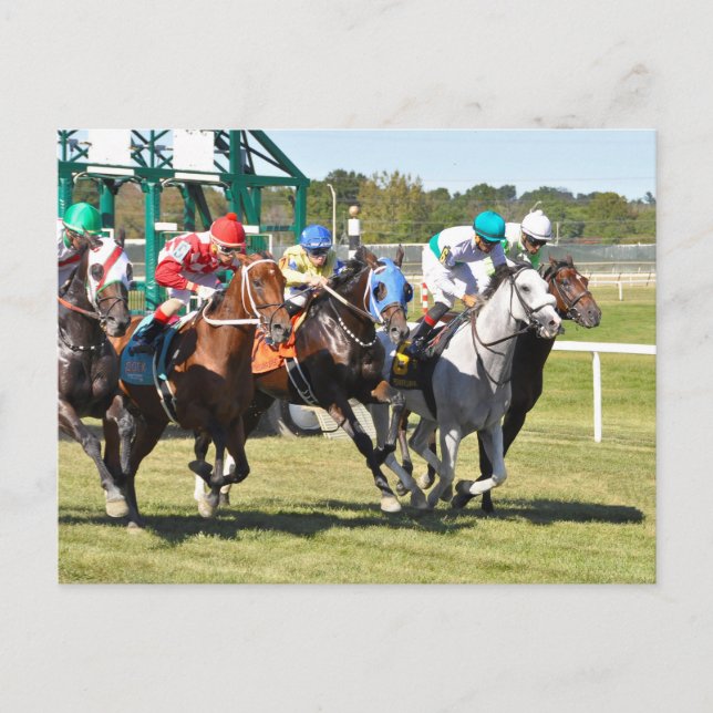 Cartão Postal O Alphabet Soup 2017 (Frente)