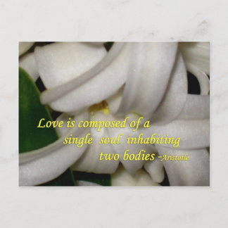Cartão Postal O Amor