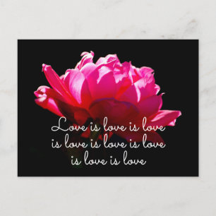 Cartão Postal O amor é o amor Romântico Dramático Rosa Rosa Rosa