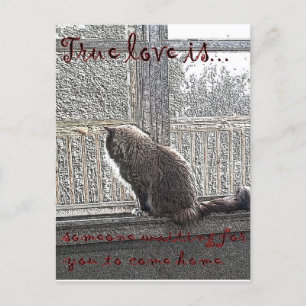 Cartão Postal o amor está esperando
