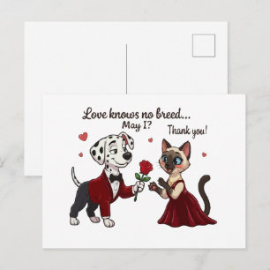 Cartão Postal O Amor Não Conhece Raça Dálmata e Gato Siames
