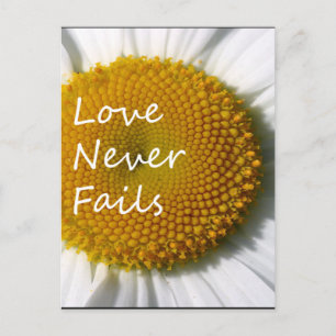 Cartão Postal O Amor Nunca Falha Daisy 1 Coríntios 13