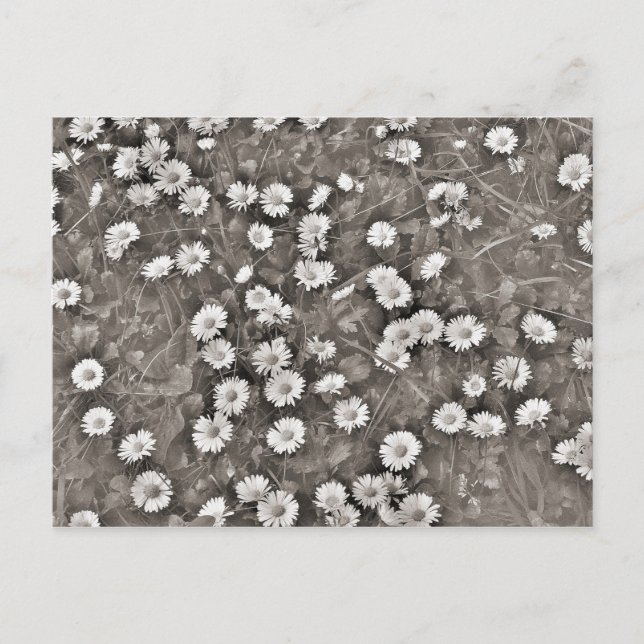 Cartão Postal O Antigo das Visitas (Frente)