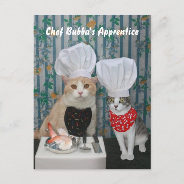 Cartão Postal O aprendiz de Bubba do cozinheiro chefe (Frente)