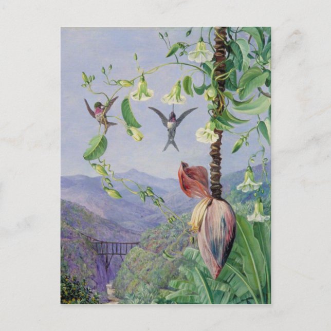 Cartão Postal O Aqueduto de Morro Velho, Brasil Marianne Norte (Frente)