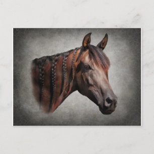 Cartão Postal O árabe