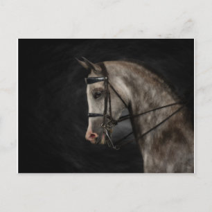 Cartão Postal O árabe clássico