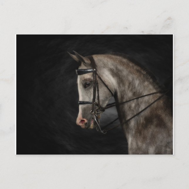 Cartão Postal O árabe clássico (Frente)