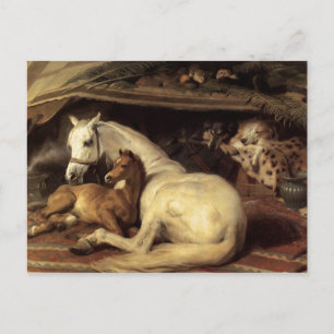 Cartão Postal O árabe Tent Edwin Landseer