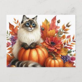 Cartão Postal O Autumn Deixa Pumpkins e Ragdoll Cat Postcard