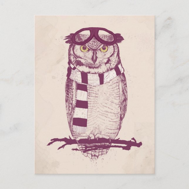 Cartão Postal O aviador (Frente)