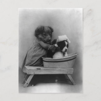 Cartão Postal O Banho