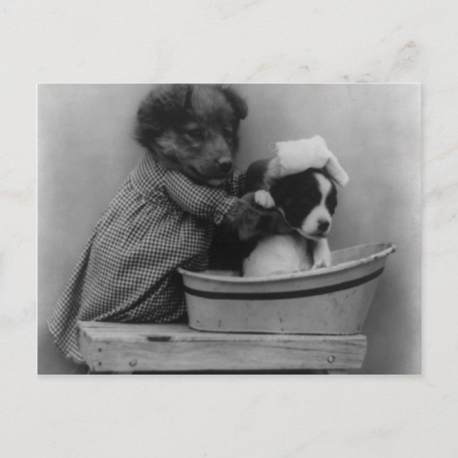 Cartão Postal O Banho (Frente)