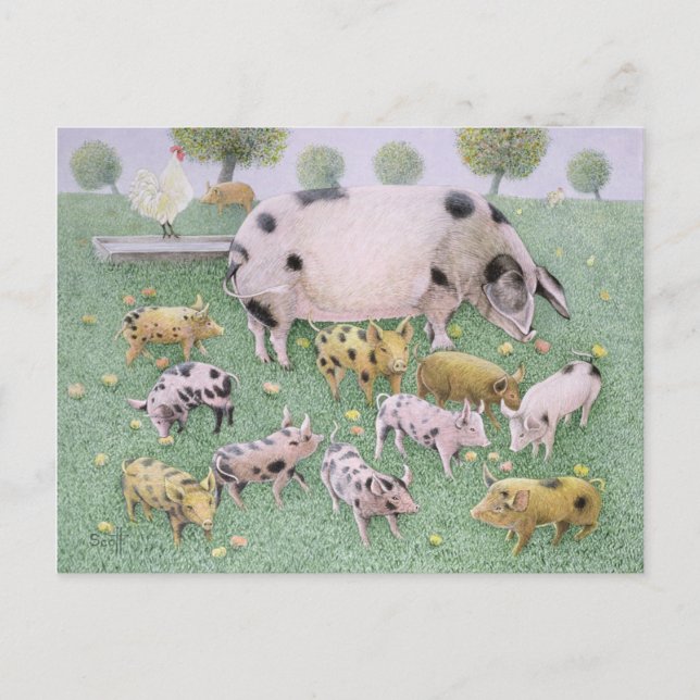 Cartão Postal O Banquete da Apple (Frente)