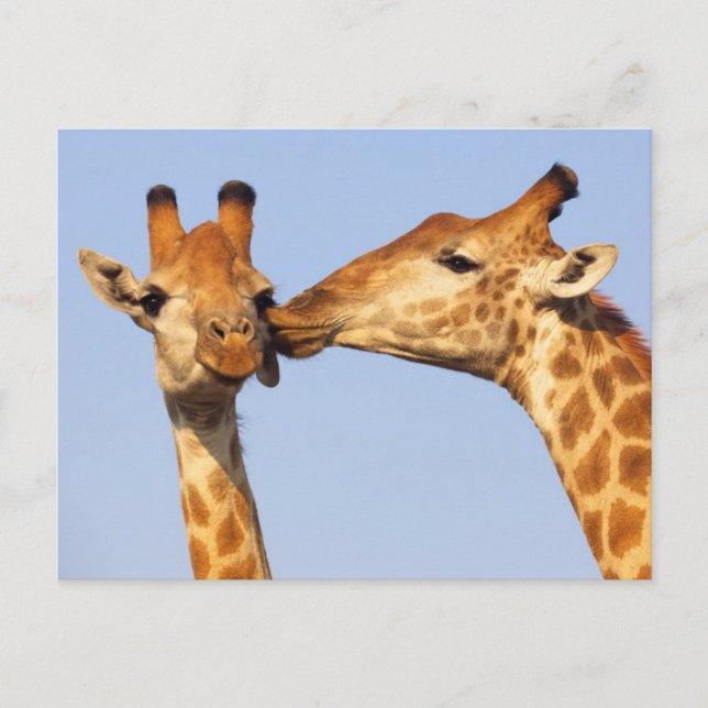 Cartão Postal O Beijo (Frente)