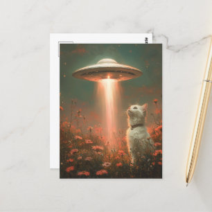 Cartão Postal O Bonito Gato Branco e um OVNI