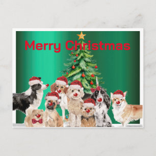Cartão Postal O Cachorro Feriado de Natal abre Feliz Verde