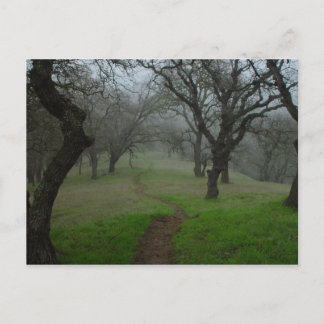 Cartão Postal O caminho